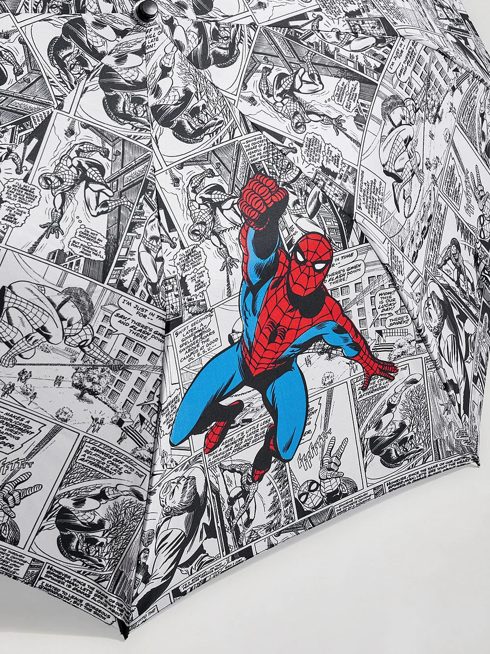 Spider-Man Spidey Print